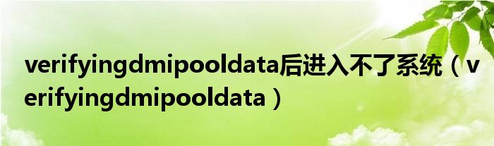 verifyingdmipooldata后进入不了系统（verifyingdmipooldata）（verifyingdimpooldata怎么办）
