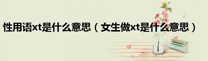 妹子说xt什么意思（女生备注xt是什么意思）