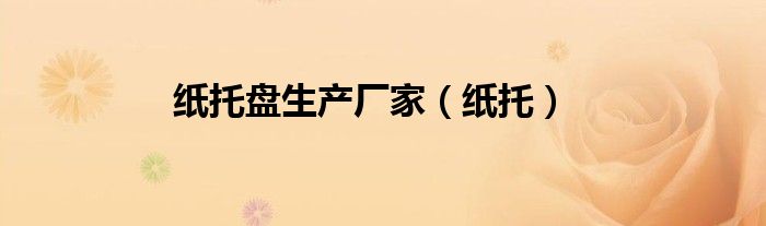 纸托盘多少钱一个（纸托盘用途）