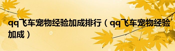 qq飞车端游宠物经验卡（飞车宠物经验表）