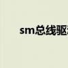 sm总线驱动不安装会怎样（sm总线）
