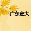 广东宏大：拟购买雪峰科技21%股份