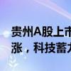 贵州A股上市公司市值达23625.18亿 工业领涨，科技蓄力