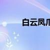 白云凤爪的家常做法（白云凤爪）