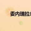 委内瑞拉总统证实：副总统严重受伤