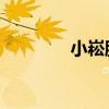 小崧股份收到深交所监管函