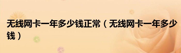 无线网卡多少一月（无线网卡上网多少钱一个月）