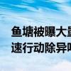 鱼塘被曝大量死鱼有异味 已清理 大孟庄镇迅速行动除异味