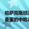 哈萨克斯坦汉学家：三千藏书印情缘 ——书香里的中哈友谊史