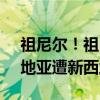 祖尼尔！祖巴茨奥运资格赛29 16 无奈克罗地亚遭新西兰逆转