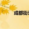 成都街头现愤怒的小鸟追啄路人