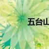 五台山上多头牛疑遭雷击死亡