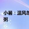 小暑：温风忽至，盛夏序章！记得喝消暑汤或粥