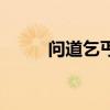 问道乞丐要什么物品（问道乞丐）