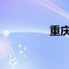 重庆29中学（重庆29中）