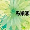 鸟巢哪个区的（鸟巢在哪个区）