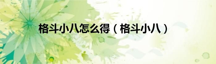 格斗小八怎么样（格斗小八真的有吗）