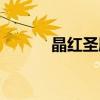 晶红圣殿攻略视频（晶红圣所）