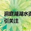 洞庭湖湖水面积两周扩大1倍多 水域迅速增长引关注