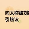 向太称被刘德华滑跪动作吓哭 天王惊险表演引热议