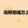 海柳烟嘴怎么挑选（口碑最好的海柳烟嘴）