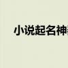 小说起名神器在线（小说取名字器在线）