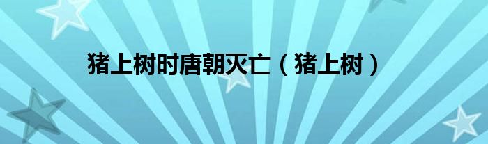 为什么猪上树的人多（为什么猪上树的时候唐朝会亡）