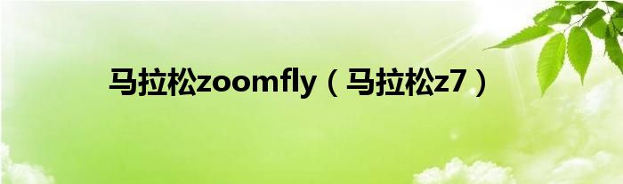 马拉松zoom破2有什么科技（马拉松zoom fly3莆田）
