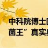 中科院博士回应研究苹果长出蘑菇 揭秘“果菌王”真实身份
