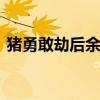 猪勇敢劫后余生在马路边进食 灾后温情一幕