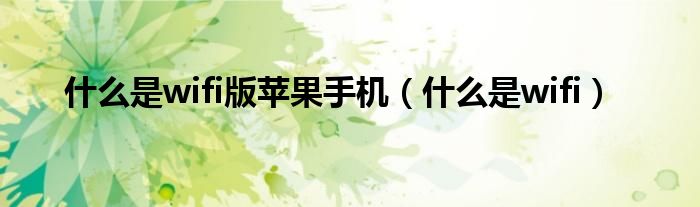 苹果wi-fi版什么意思（苹果手机wifi版什么意思啊）