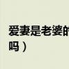 爱妻是老婆的意思吗知乎（爱妻是老婆的意思吗）