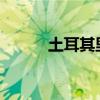 土耳其里拉兑美元跌至纪录低点