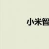 小米智能技术公司增资至15亿