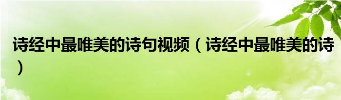 诗经里的唯美诗句（诗经中唯美的诗全诗）