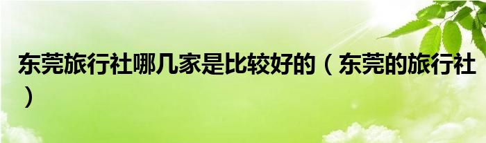 东莞旅行社十大排名（东莞旅行社东莞国旅）