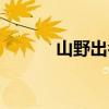 山野出名的歌（山野好听的歌）