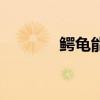 鳄龟能吃猪肉吗（鳄龟能吃）