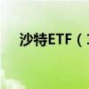 沙特ETF（159329）上市首日触及涨停