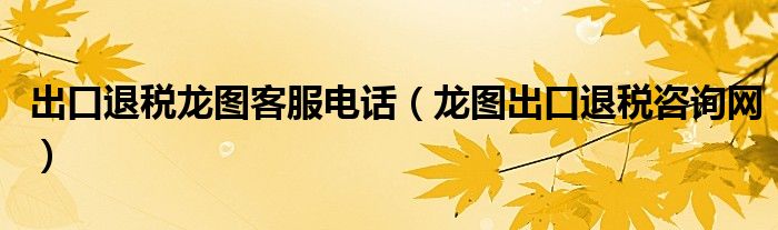 龙图公司电话（大连龙图出口退税软件操作流程）