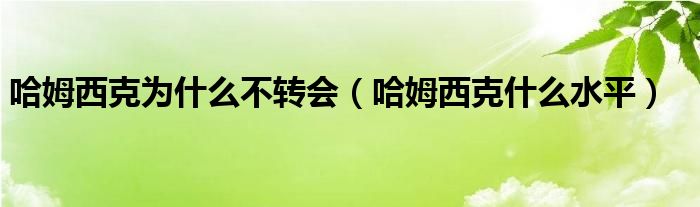 哈姆西克简介（哈姆西克没进大名单）