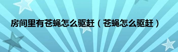 房间有苍蝇怎么办能除根（房间有苍蝇怎么驱除）