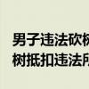 男子违法砍树503棵被判到荒漠植绿：通过植树抵扣违法所得