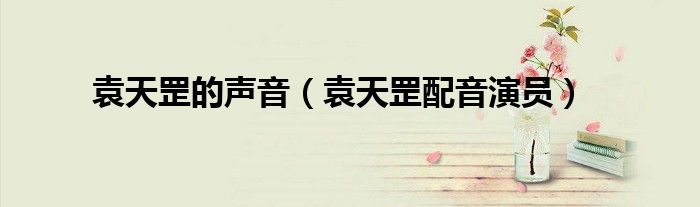 袁天罡动画（袁天罡的视频）