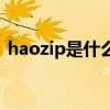 haozip是什么文件夹可以删除吗（haozip）