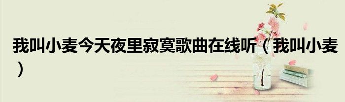 歌曲我叫小麦（大家好我叫小麦歌曲在线听）