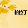 帕拉丁改装图片（帕拉丁改装）