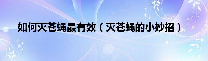灭苍蝇的最好方法2016（灭苍蝇的有效方法）