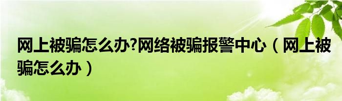网上被骗了怎么办追回（网上被骗了要怎么样报警）