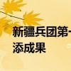 新疆兵团第一师副师长宋杰被查 反腐行动再添成果